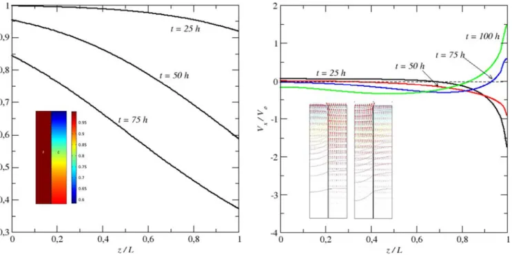 Fig. 10. Saturation proﬁle in the coarse medium at various times during drying along the vertical median line in the coarse medium (the saturation varies quite weakly with x in each medium)