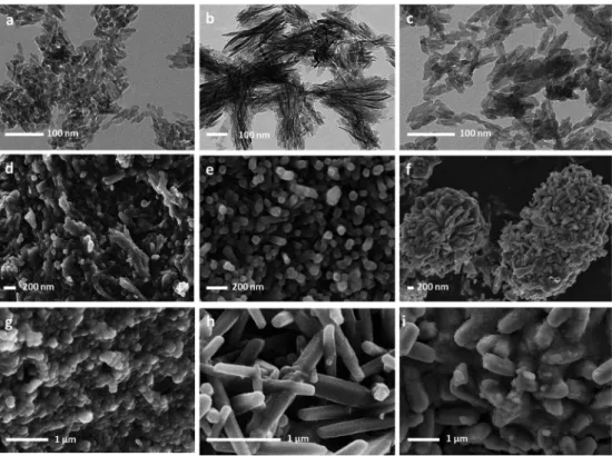 Fig. 6 (a, b) z-potential vs. pH of suspensions containing Eu-doped cit-cAp, Eu-doped carbonated apatites without citrate (Eu-doped cAp), citrate coated Eu-free samples (cit-cAp) and carbonated apatite without the citrate layer (cAp) (a) x 0.010 M Eu 3+ an