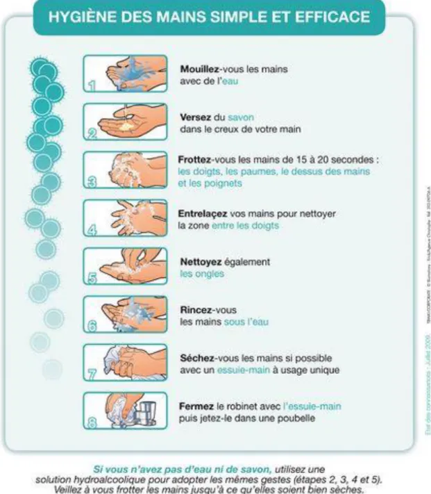 Illustration 5 : Protocole du lavage simple des mains 