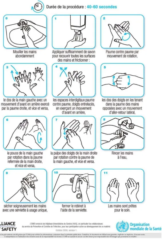 Illustration 6 : Protocole du lavage hygiénique des mains  © OMS 