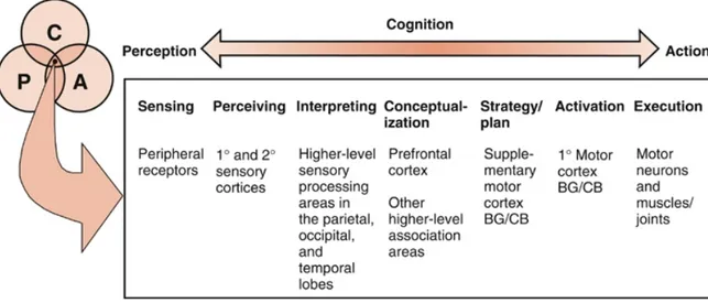 Figure 1 Modèle du contrôle moteur de Shumway-Cook et Woollacott (2007) 