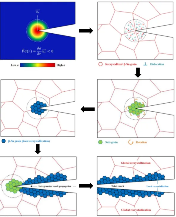 Fig. 12. Local recrystallization process leading to the creation of small and highly disoriented β-Sn grains along the crack path.
