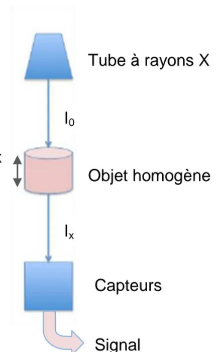 Figure  1  :  Atténuation  des  rayons  X  par la matière 