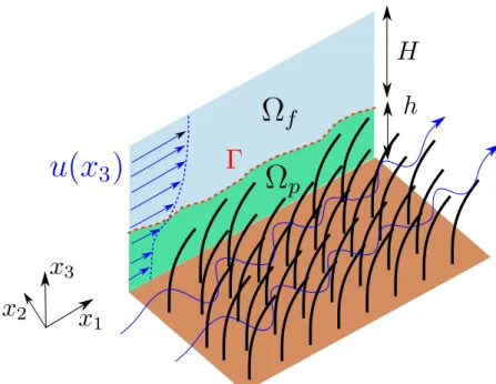 Figure 1.13: Sketch of a fully developed flow over a poroelastic surface made of multiple filaments.