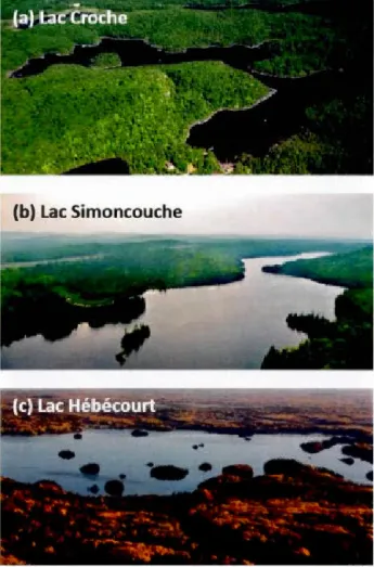 Figure  0.2.  Vue aérienne  des trois lacs  échantillonnés  mensueUement  entre 2010 et 2012