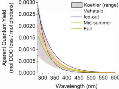 Figure  1.2.  Apparent  quantum yield  spectra of  DOC mineralization 