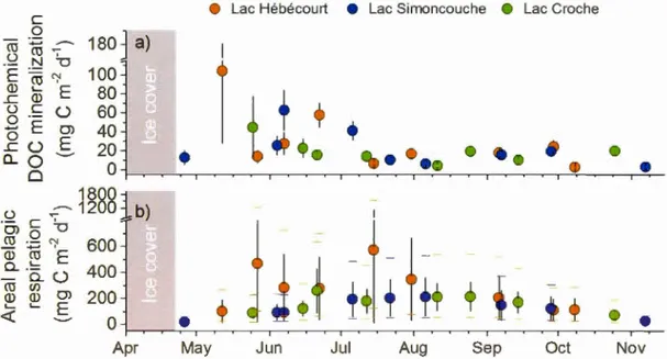 Figure 1.3.  Areal  rates ofphotochemical DOC mineralization and pelagie respiration  Panel  a)  is the area l  photochemical DOC  min e rali zat i o n  ( m g C  m· 2  d- 1 )  and panel  b)  i s  the  area l  pelagie  respiration  ( m g  C  m · 2  d- 1 )  