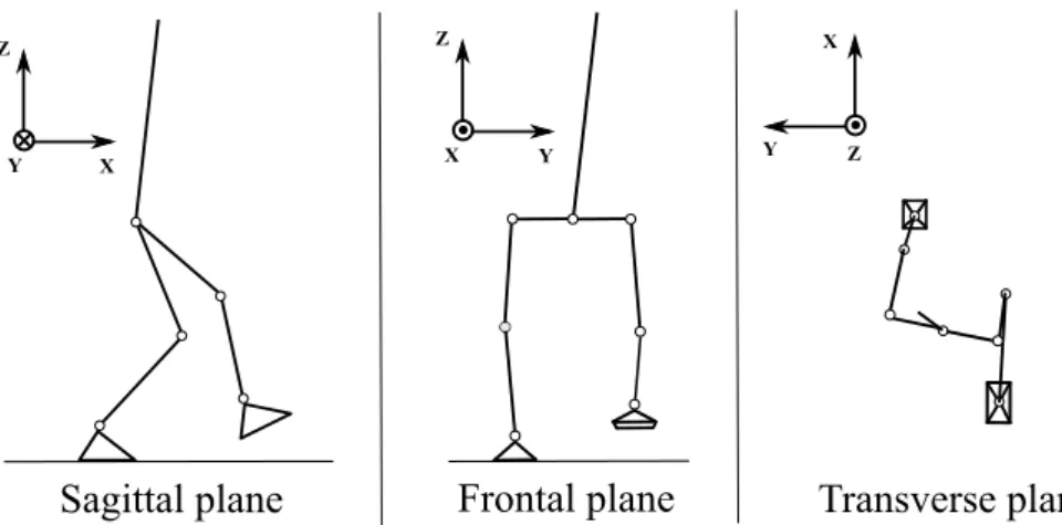 Figure 1.1: The three planes used to describe the motion of a biped walker.