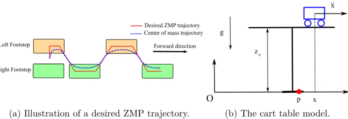 Figure 2.2: (a) : Illustration of a desired ZMP trajectory and a trajectory for the center of mass obtained using the cart-table model [59]