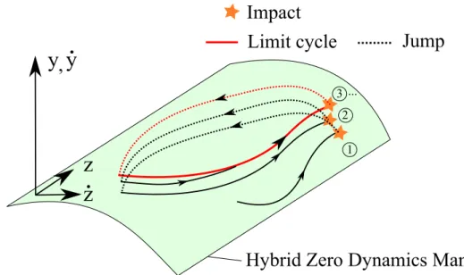 Figure 2.3: Illustration of a limit cycle in the hybrid zero dynamics manifold. The feedback law is used to constrain the system to evolve into the hybrid zero dynamics manifold (depicted in green)
