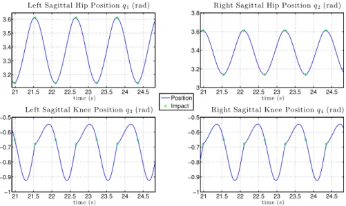 Figure 3.4: Simulated joint position evolutions for a walking trajectory obtained with the HZD method