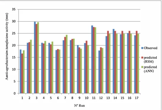 Fig.  3.  Graphical  representation  of  MLP  neural  network  containing  three  components