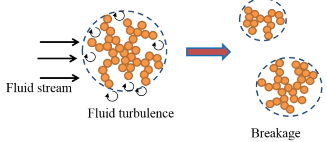 Figure 10 – Schematic representation of hydrodynamic agglomerate breakage by a fluid flow.