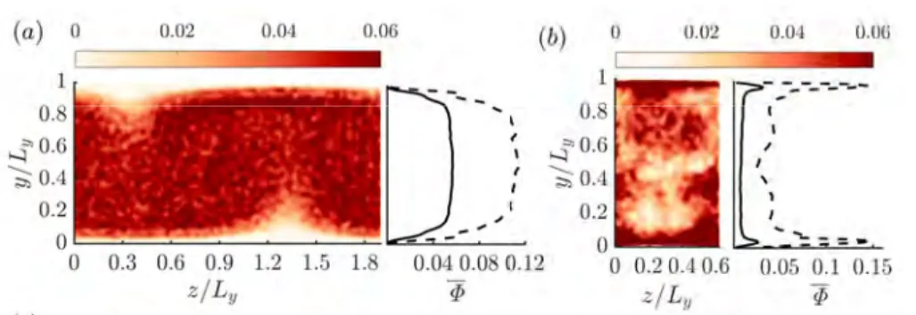 Figure 5. (a) and (b) Particle distribution in the cross-section (y − z plane) of Couette C500 − 5 and pressure-driven P 2600 − 5 flows respectively