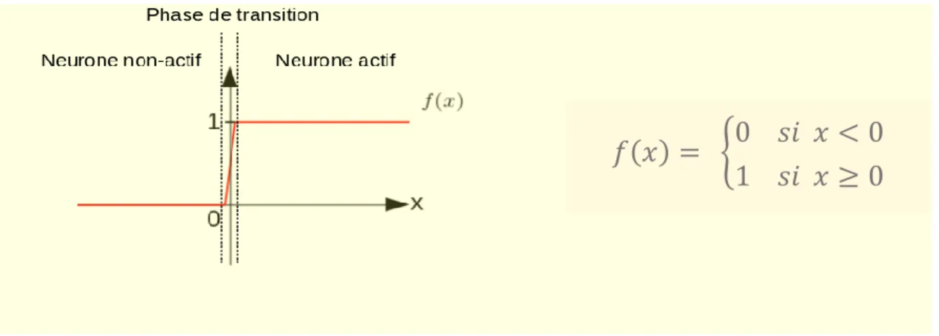 Figure 1.15 – Fonction d'activation échelon avec un seuil de 0 