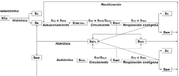 Fig. 1.06. Descripción esquemática del modelo ASM3 considerando la producción de SPE 