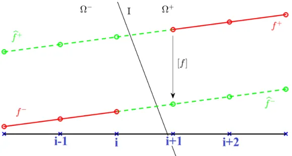 Figure 2.1: Repr´esentation de la fonction discontinue f et de ses prolongations au del`a de l’interface.