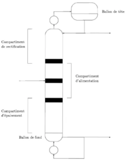 Figure 5.1: Colonne agrégée en cinq compartiments