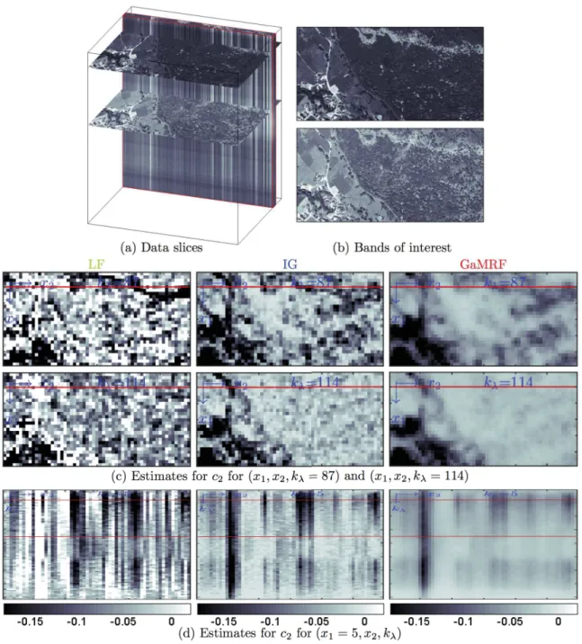 Figure 4. Multifractal analysis of a hyperspectral image (bands 80–160) from the Madonna project.