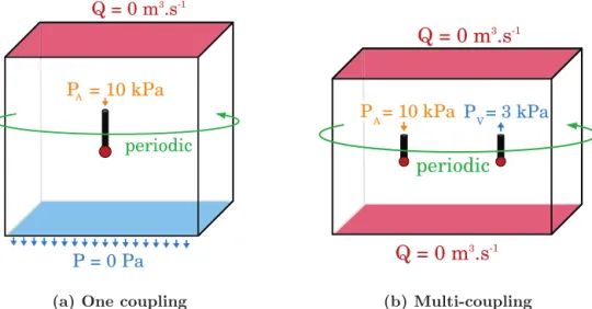 Fig 5. Schematics of the boundary conditions imposed for the validation tests. (a) and (b) The black boxes