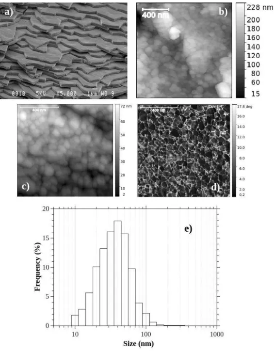 Figure 1 : Multiscale structure of nacre a) the brick &amp; mortar architecture ; b) enlargement on the edge of a  brick revealing biocrystals ; Typical AFM views of the polished top surface of an aragonite platelet observed  in tapping-mode: (c) Height ma