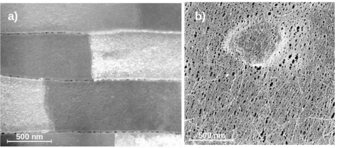 Figure 5: a) Darkfield TEM image of nacre. The organic matrix clearly appears porous. The real amount of  interlamellar matric is estimed as the bright continuous line along the tablets (6.47%  of the tablet’s  volume)