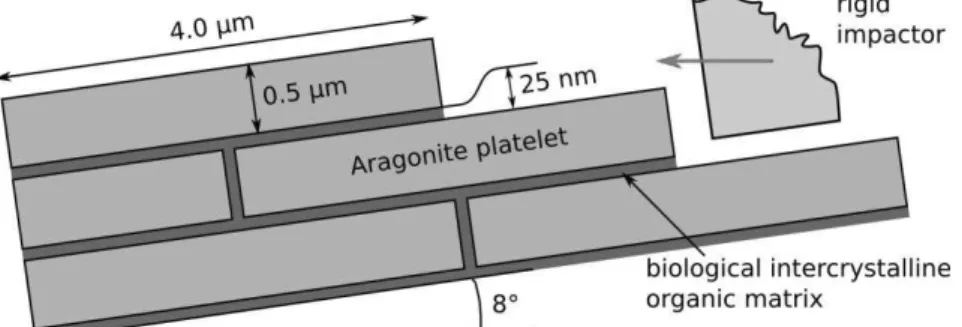 Figure 6:  Finite element model simulating the wear mechanims 