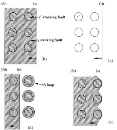 Figure 1.25 : Étapes du franchissement des précipités  J ’ pendant le stade stationnaire de  fluage de l’alliage C263 (800 °C/120 à 250 MPa) [Zhang 2001] 