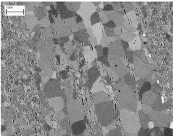 Figure  60 :  Micrographie  électronique  à  balayage  (électr d'une  coupe  axiale  de  l'alliage filage