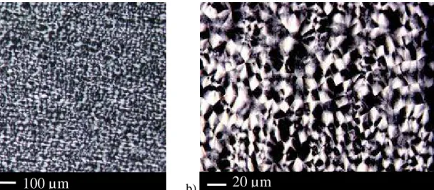 Figure I-14 : Observation de la microstructure dans la zone de cœur - a) Mise en évidence de 