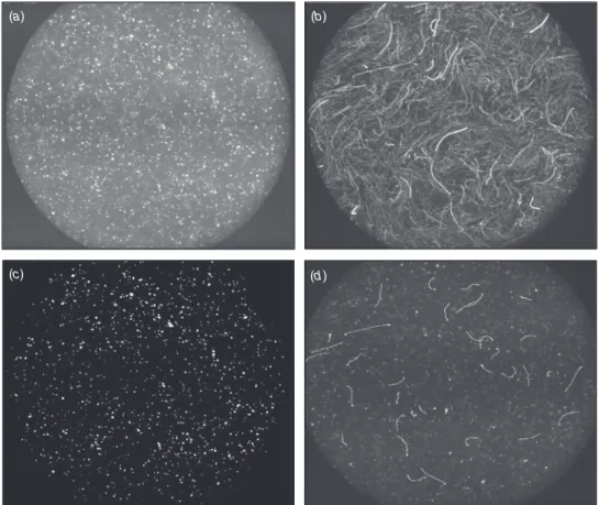 Fig. 2. Imaging of bead motion in raw semen. (a) Single image of semen sample mixed with beads and observed