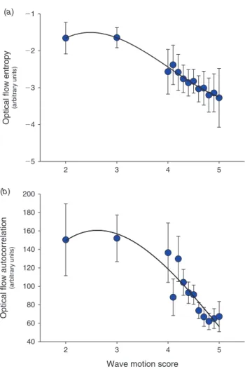 Fig. 4. Relationship between subjective wave motion score and bead