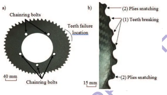 FIG. 2: Geometry of noncircular chainring