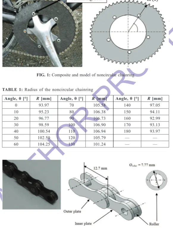 FIG. 2:  Chain and chain model