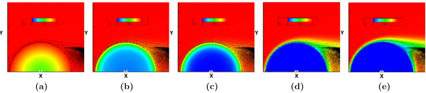 Figure II.11: Spatial distribution of concentration at Reynolds number Re = 100, Sc = 10 and γ = 0.1 for diﬀerent Thiele moduli