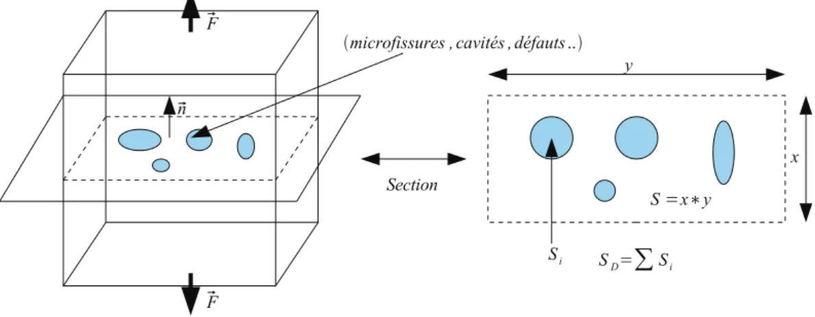 Fig. 1.16 – D´efinition de la variable de dommage de Lemaitre et Chaboche