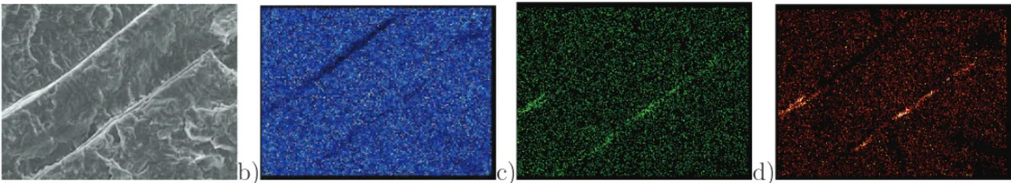 Fig. 2.6 – Cartographies de micro-analyse X qualitative en EDS a)Image MEB, b)recherche de