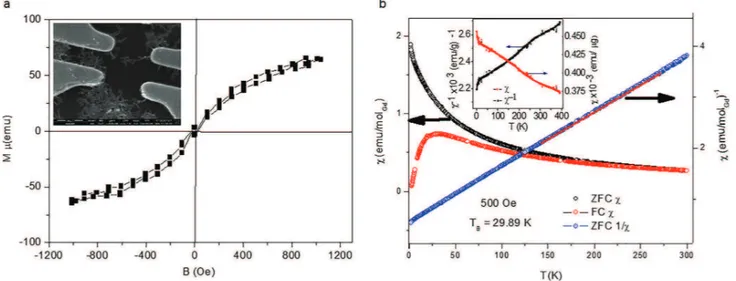 FIG. 2. (a) Hysteresis for the filled MWNT sample showing paramagnetic behaviour. Inset shows devices fabricated from GdCl 3 @MWNTs