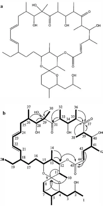 Figure 4  Structure of bioactive compound NK2  (a) and  HMBC  and  COSY correlations  (b)