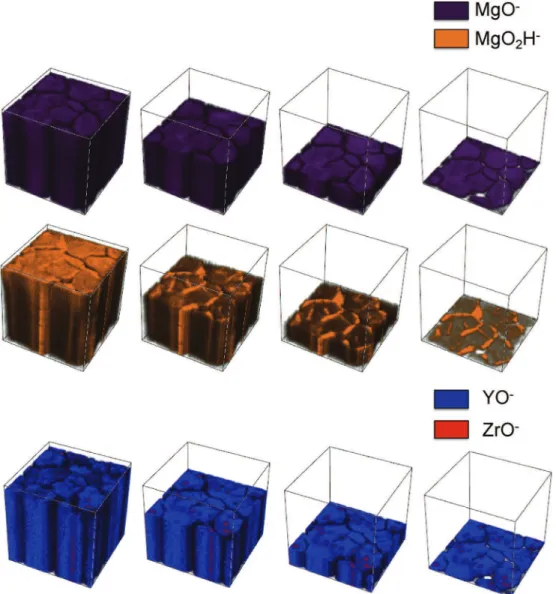 Fig. 10. 3D chemical imaging by ToF-SIMS analysis (negative mode) of the oxides/hydroxides ﬁlm formed on the WE43 alloy surface