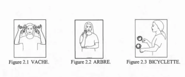 Figure  2 . 1  VACHE.  Figure  2 . 2  ARBRE.  Figure 2.3  BICYCLETTE. 