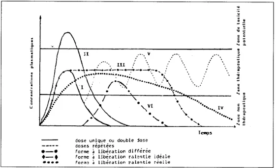 Figure 3. Profil des concentrations plasmatiques obtenues dans le cas d’une forme à libération 