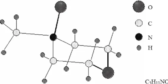Figure 8 : Configuration de la molécule N-méthylmorpholine N-oxide (selon Maia et al. 1981)  Plus tard, les travaux de thèse de Navard 1981 puis Biganska 2002 ont confirmé l’existence  d’un composé monohydraté (1H 2 O-NMMO) et l’existence d’un composé à 2 