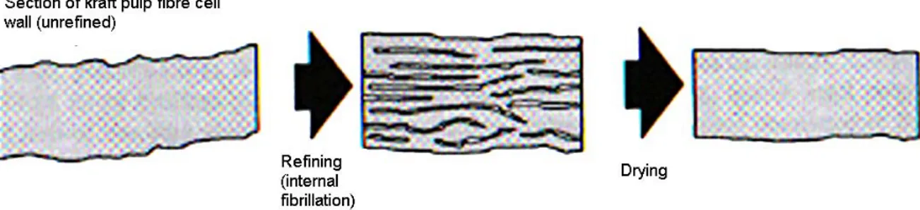 Figure 14: Illustration schématique du cycle de séchage et la fermeture des pores pendant le 