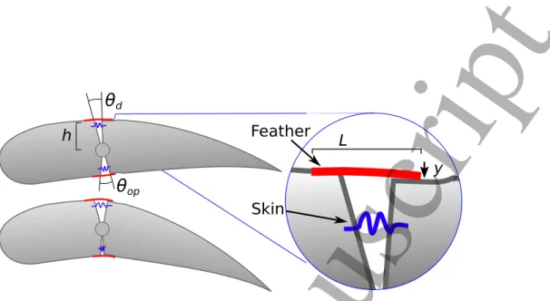 Figure 9: Skin and feather concept applied to one articulation. The flaps presented corre- corre-spond to neutral and maximum cambered shape