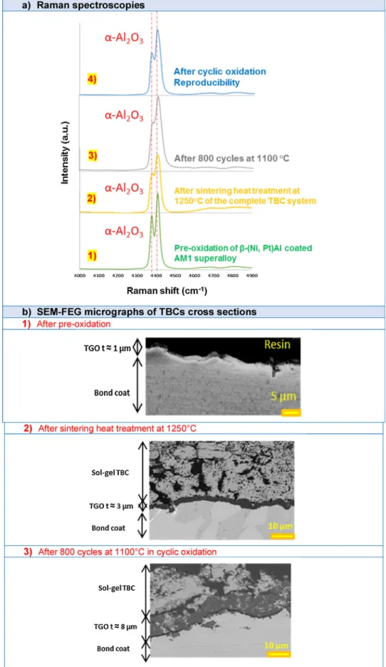 Fig. 10. Analysis of α-Al 2 O 3 phase of TGO: (a) Raman spectroscopies of the TGO after: (1) pre-oxidation, (2) sintering heat treatment at 1250 °C; (3) 800 cycles at