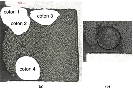 Figure 4.16 – Observations microscopiques de fibres PA66 dans un fil de trame (a) et visualisa- visualisa-tion du filament ‘coton 4’ (b).