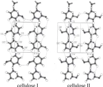 Figure I.8: parallel – chain and antiparallel – chain structures,   respectively for cellulose I and cellulose II [KROO86] 