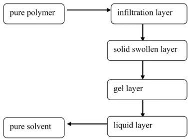 Figure 0.1: Schematic diagram of the composition of the surface layer [MILL03] pure solvent 