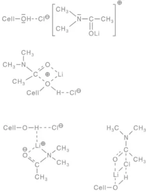 Figure 0.3: Schematic interaction of cellulose with LiCl – DMAc [KLEM98]   III.2.2. Ionic compounds in aqueous solution as cellulose solvents 